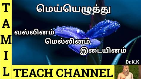 tamil vallinam mellinam idaiyinam|வல்லினம் மெல்லினம் இடையினம்